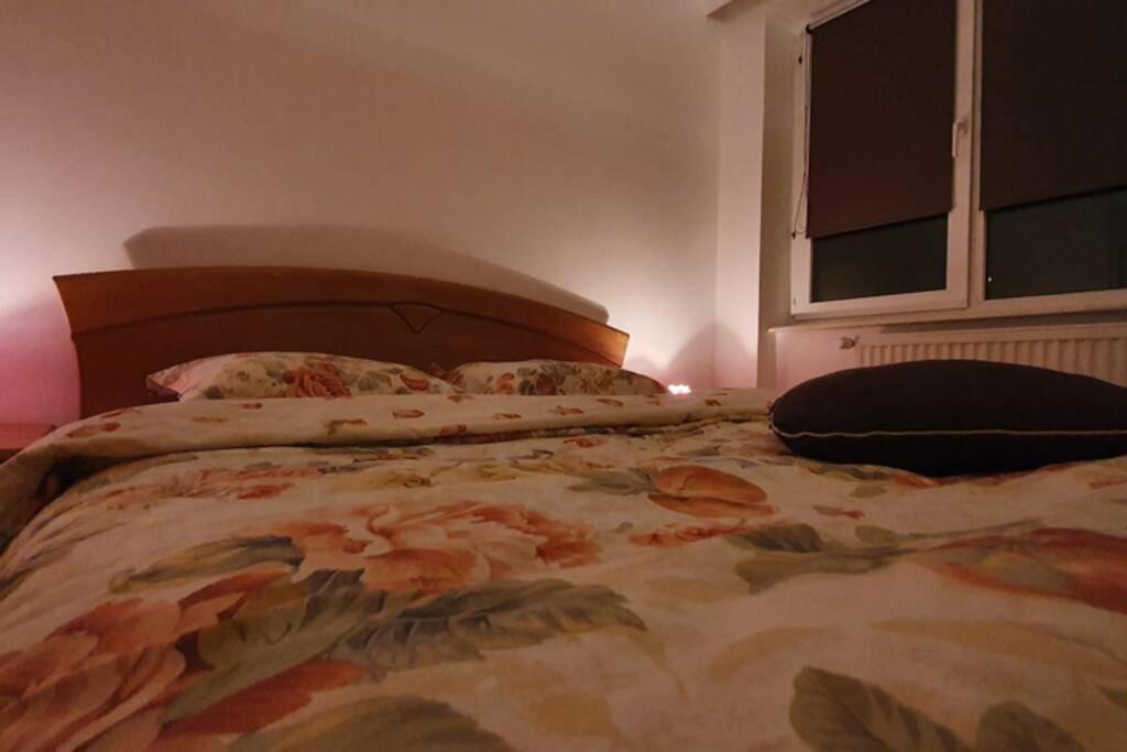 Titian'S Cozy Apartment Sibiu Luaran gambar